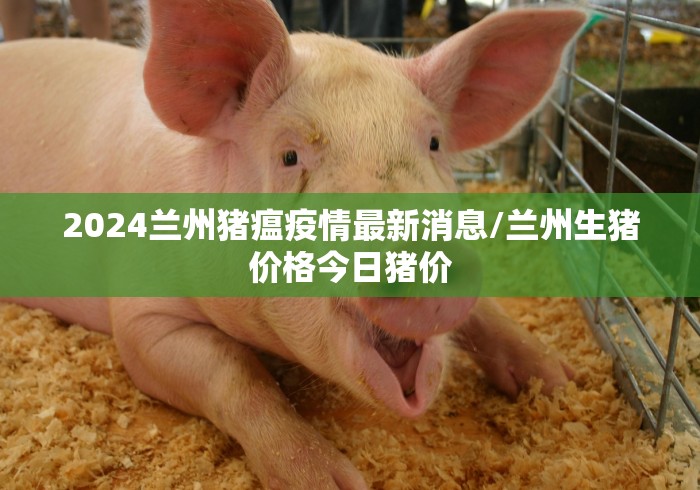 2024兰州猪瘟疫情最新消息/兰州生猪价格今日猪价 2024兰州猪瘟疫情最新消息/兰州生猪价格今日猪价