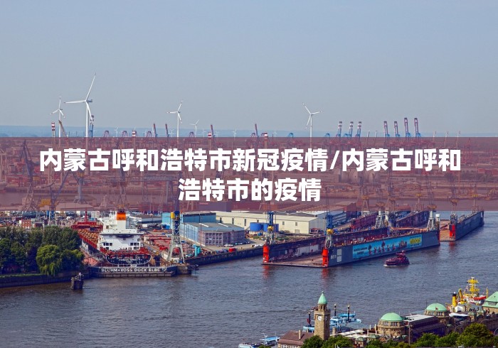 内蒙古呼和浩特市新冠疫情/内蒙古呼和浩特市的疫情