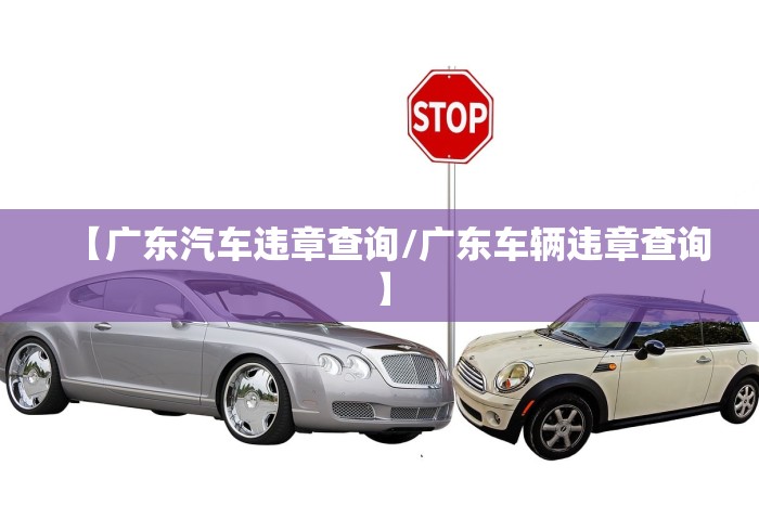 【广东汽车违章查询/广东车辆违章查询】