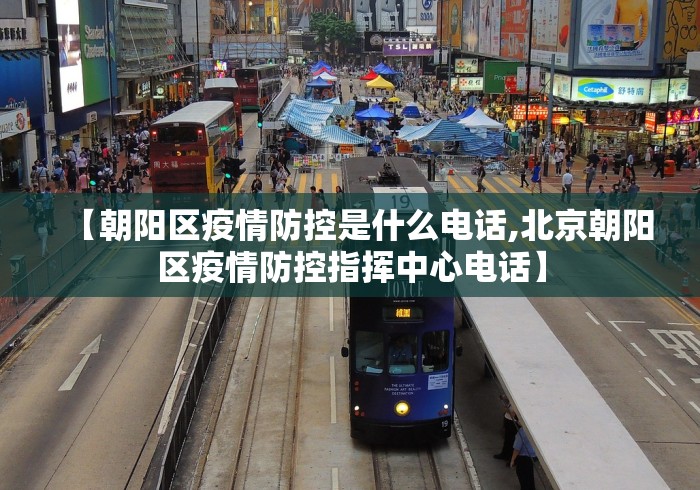 【朝阳区疫情防控是什么电话,北京朝阳区疫情防控指挥中心电话】