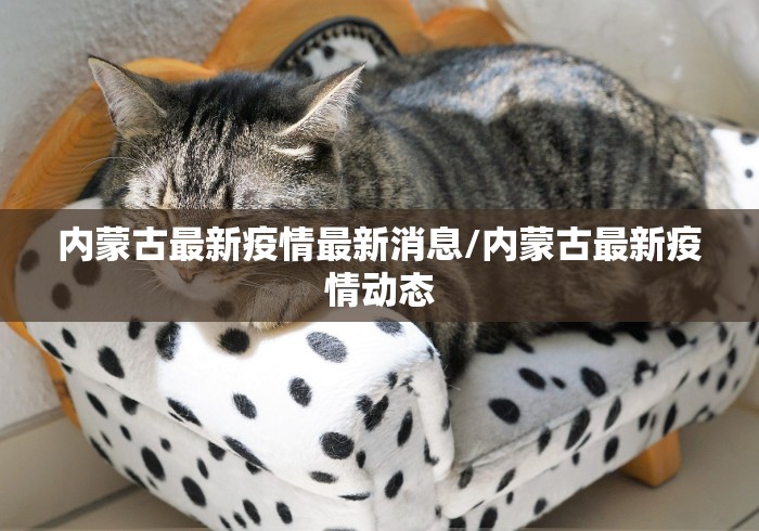 内蒙古最新疫情最新消息/内蒙古最新疫情动态