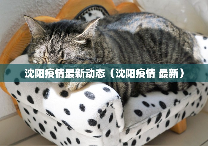 沈阳疫情最新动态（沈阳疫情 最新）
