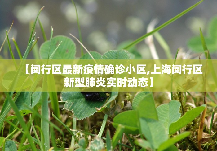 【闵行区最新疫情确诊小区,上海闵行区新型肺炎实时动态】