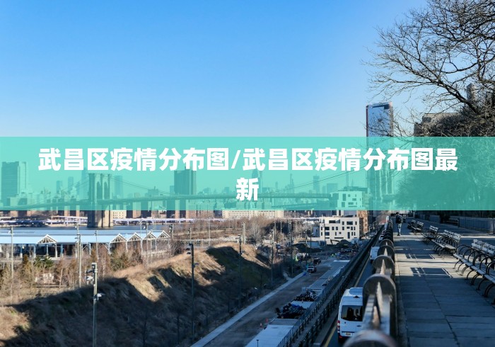 武昌区疫情分布图/武昌区疫情分布图最新
