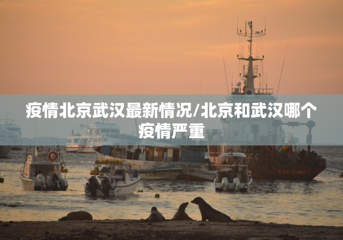 疫情北京武汉最新情况/北京和武汉哪个疫情严重 疫情北京武汉最新情况/北京和武汉哪个疫情严重