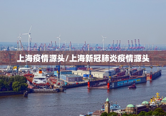 上海疫情源头/上海新冠肺炎疫情源头