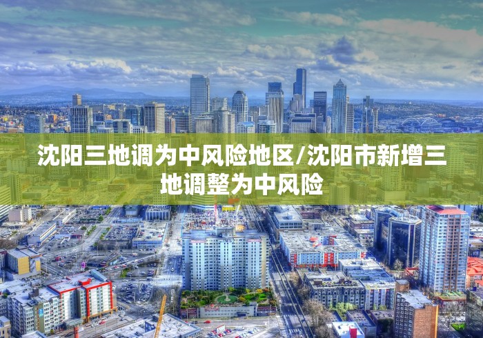 沈阳三地调为中风险地区/沈阳市新增三地调整为中风险