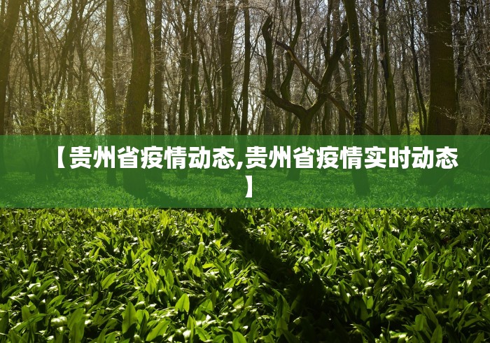 【贵州省疫情动态,贵州省疫情实时动态】 【贵州省疫情动态,贵州省疫情实时动态】