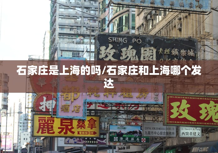 石家庄是上海的吗/石家庄和上海哪个发达