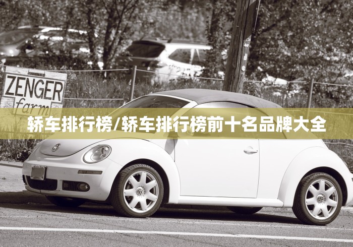 轿车排行榜/轿车排行榜前十名品牌大全