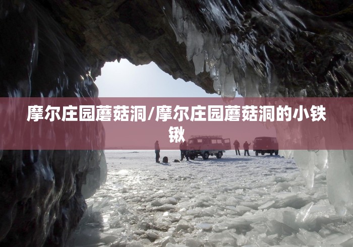 摩尔庄园蘑菇洞/摩尔庄园蘑菇洞的小铁锹