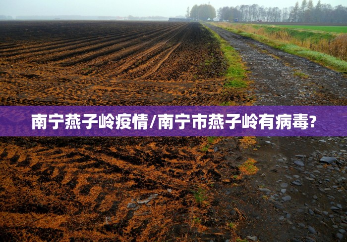 南宁燕子岭疫情/南宁市燕子岭有病毒? 南宁燕子岭疫情/南宁市燕子岭有病毒?