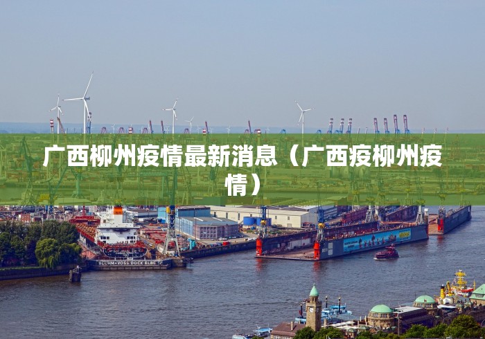 广西柳州疫情最新消息(广西疫柳州疫情) 广西柳州疫情最新消息(广西疫柳州疫情)