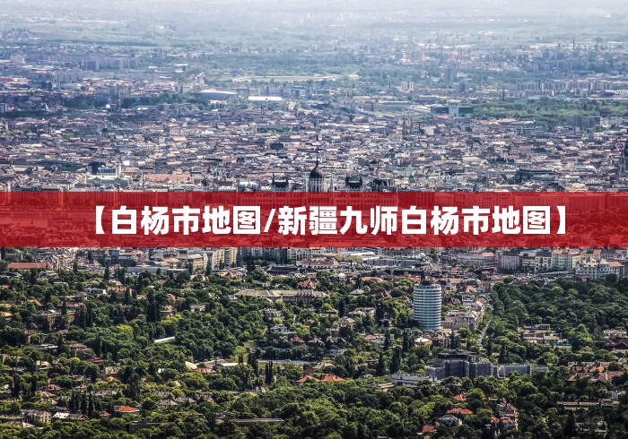 【白杨市地图/新疆九师白杨市地图】