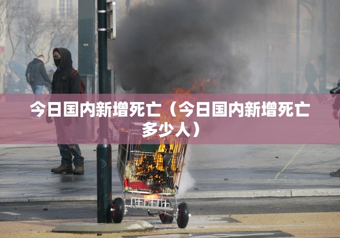 今日国内新增死亡（今日国内新增死亡多少人）