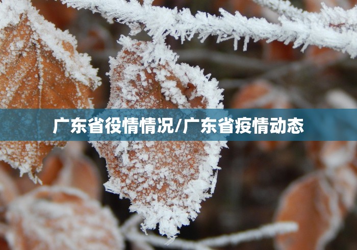 广东省役情情况/广东省疫情动态