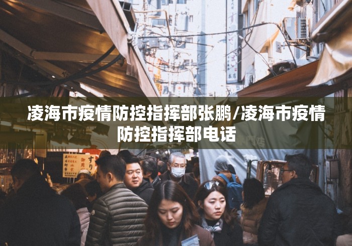 凌海市疫情防控指挥部张鹏/凌海市疫情防控指挥部电话