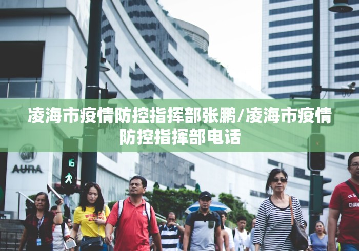 凌海市疫情防控指挥部张鹏/凌海市疫情防控指挥部电话