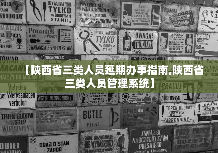 【陕西省三类人员延期办事指南,陕西省三类人员管理系统】