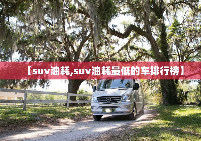 【suv油耗,suv油耗最低的车排行榜】