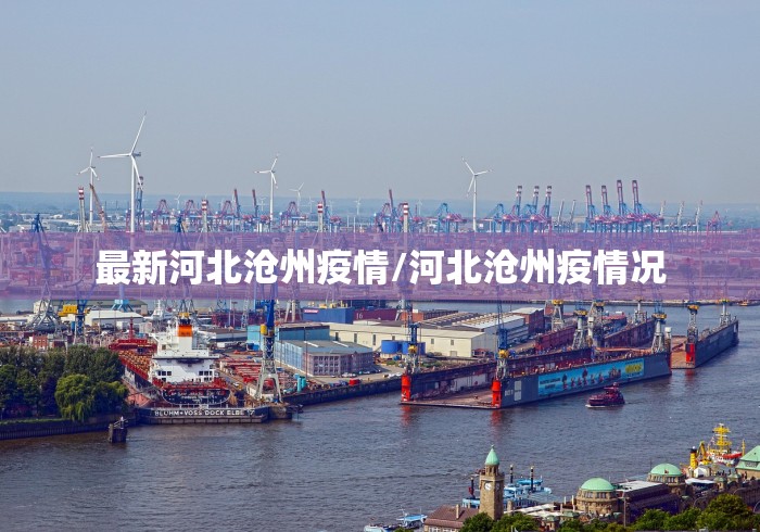 最新河北沧州疫情/河北沧州疫情况 最新河北沧州疫情/河北沧州疫情况