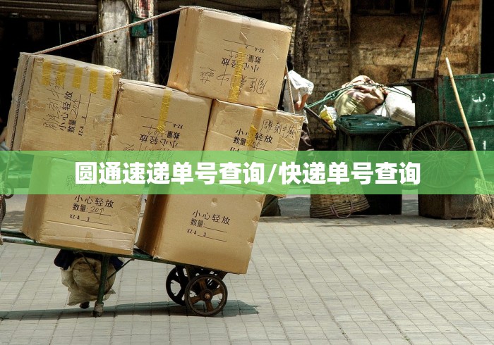 圆通速递单号查询/快递单号查询