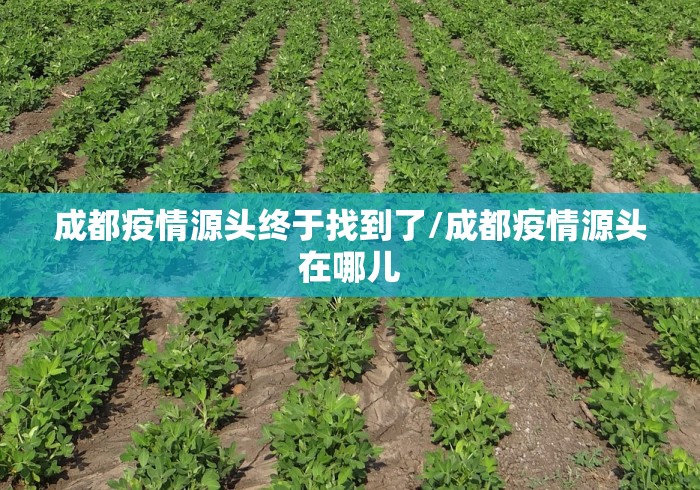成都疫情源头终于找到了/成都疫情源头在哪儿