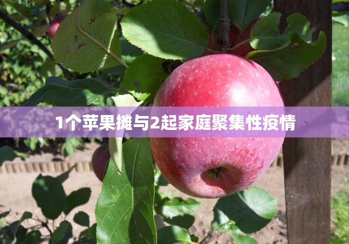 1个苹果摊与2起家庭聚集性疫情