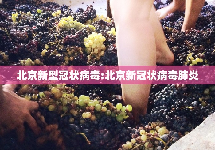 北京新型冠状病毒:北京新冠状病毒肺炎