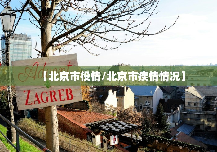 【北京市役情/北京市疾情情况】