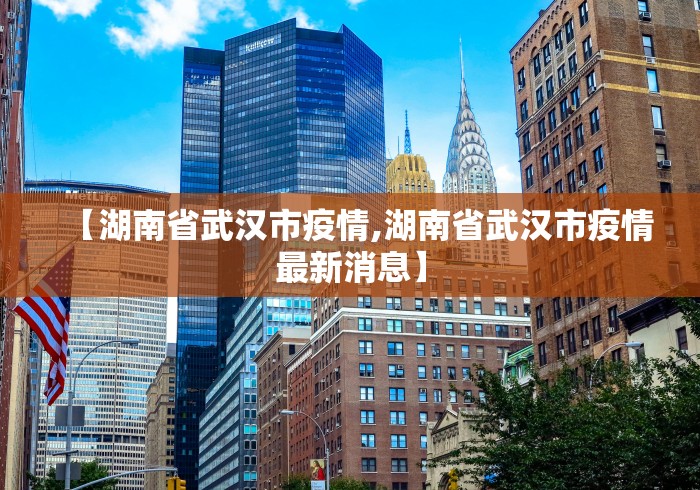 【湖南省武汉市疫情,湖南省武汉市疫情最新消息】