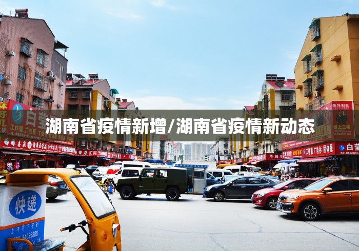 湖南省疫情新增/湖南省疫情新动态
