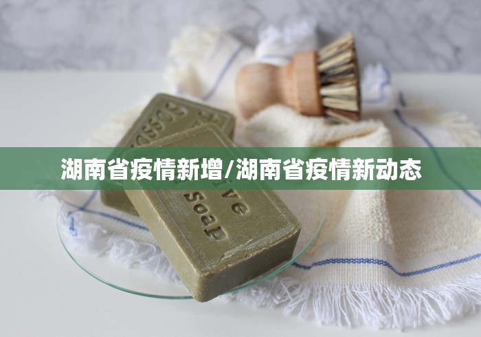 湖南省疫情新增/湖南省疫情新动态 湖南省疫情新增/湖南省疫情新动态