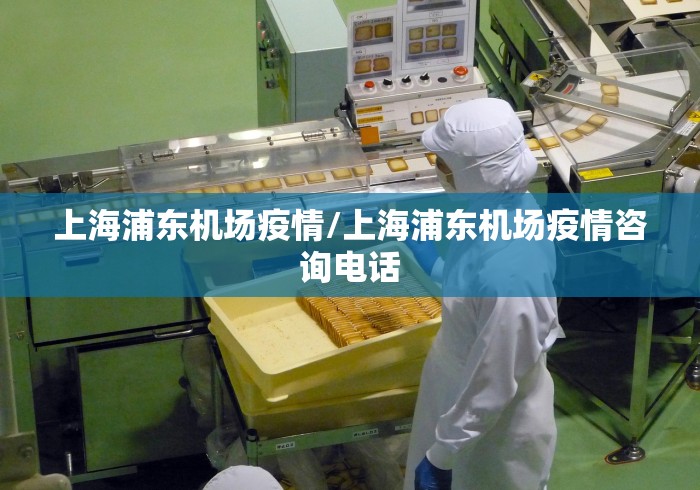 上海浦东机场疫情/上海浦东机场疫情咨询电话
