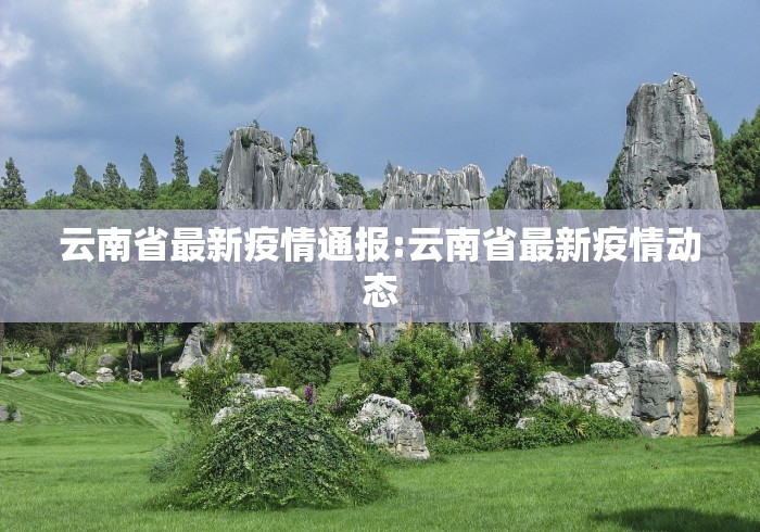 云南省最新疫情通报:云南省最新疫情动态