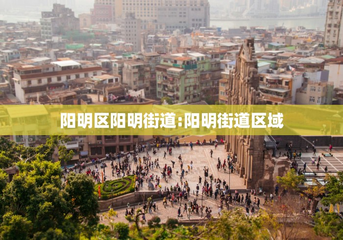 阳明区阳明街道:阳明街道区域