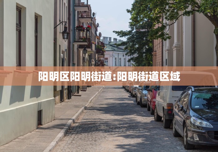 阳明区阳明街道:阳明街道区域 阳明区阳明街道:阳明街道区域