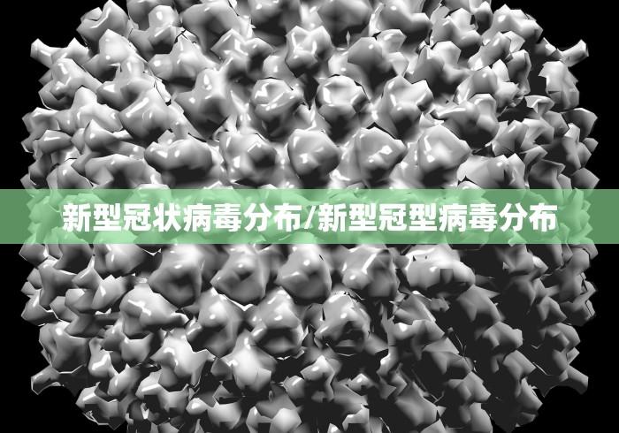 新型冠状病毒分布/新型冠型病毒分布
