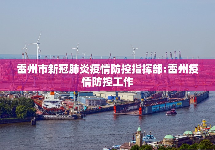 雷州市新冠肺炎疫情防控指挥部:雷州疫情防控工作