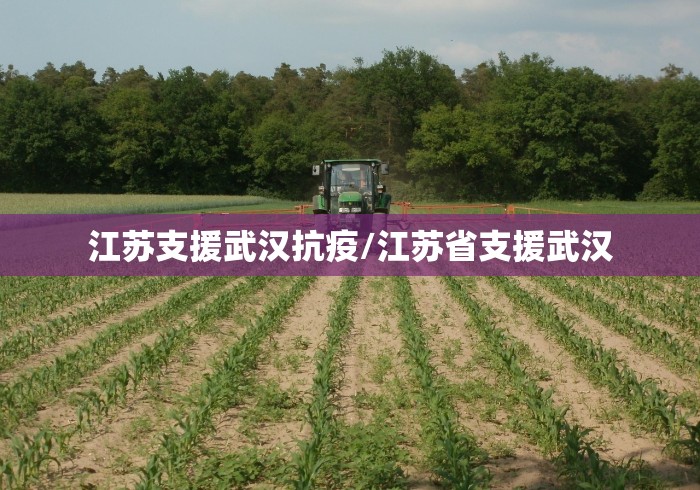 江苏支援武汉抗疫/江苏省支援武汉
