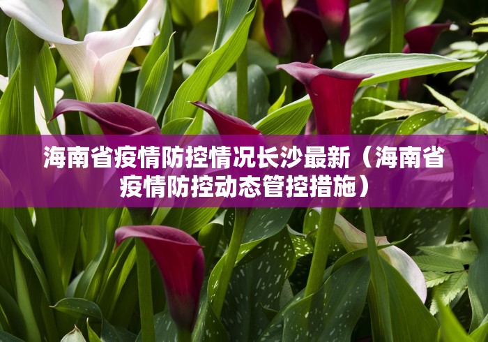 海南省疫情防控情况长沙最新(海南省疫情防控动态管控措施)