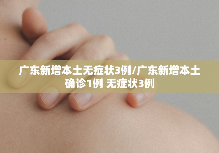 广东新增本土无症状3例/广东新增本土确诊1例 无症状3例