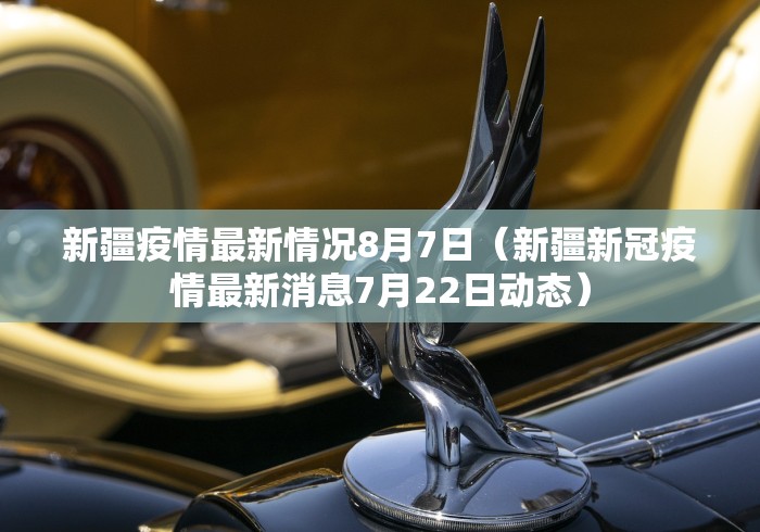 新疆疫情最新情况8月7日（新疆新冠疫情最新消息7月22日动态）