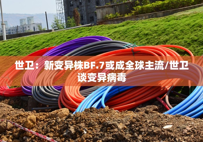 世卫：新变异株BF.7或成全球主流/世卫谈变异病毒