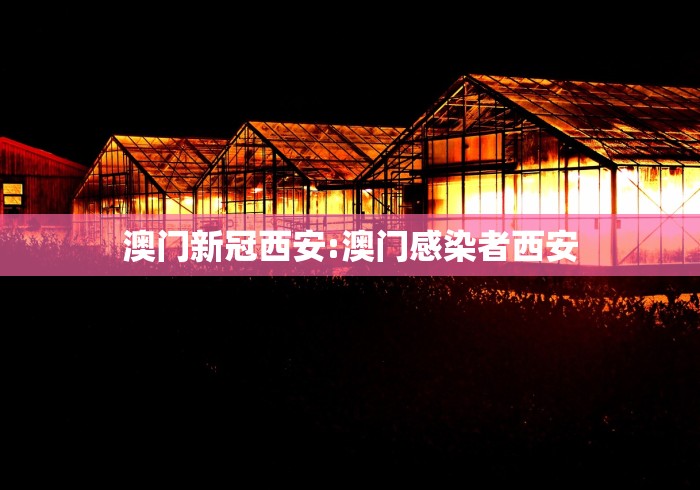 澳门新冠西安:澳门感染者西安