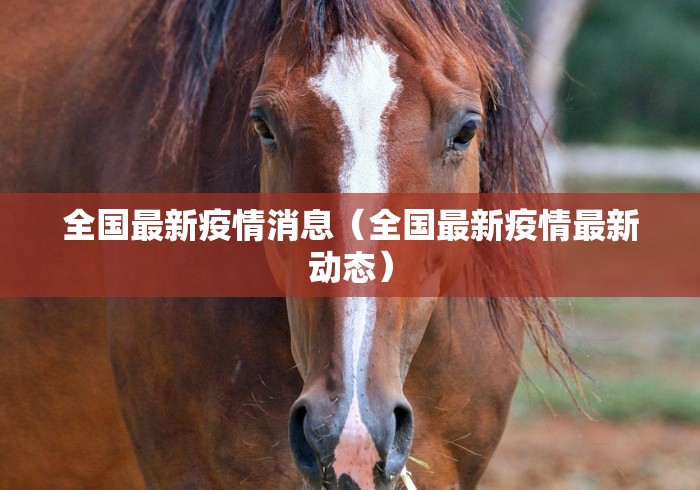 全国最新疫情消息（全国最新疫情最新动态）