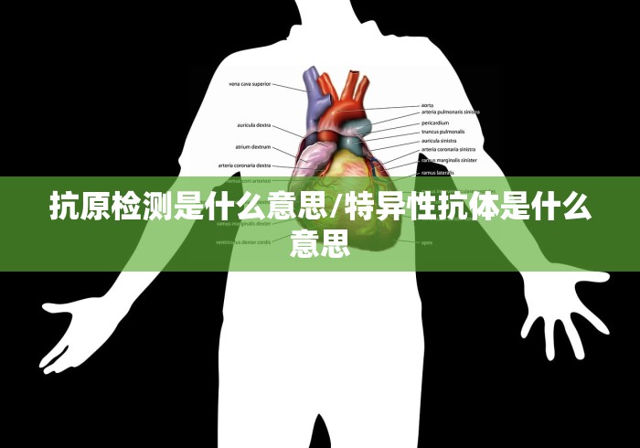 抗原检测是什么意思/特异性抗体是什么意思