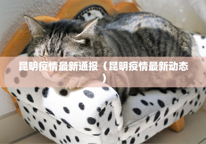 昆明疫情最新通报（昆明疫情最新动态）
