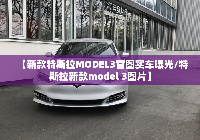 【新款特斯拉MODEL3官图实车曝光/特斯拉新款model 3图片】