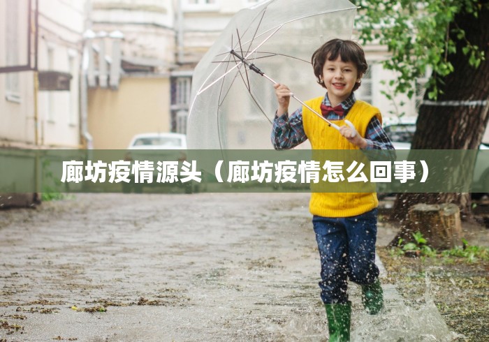 廊坊疫情源头(廊坊疫情怎么回事)
